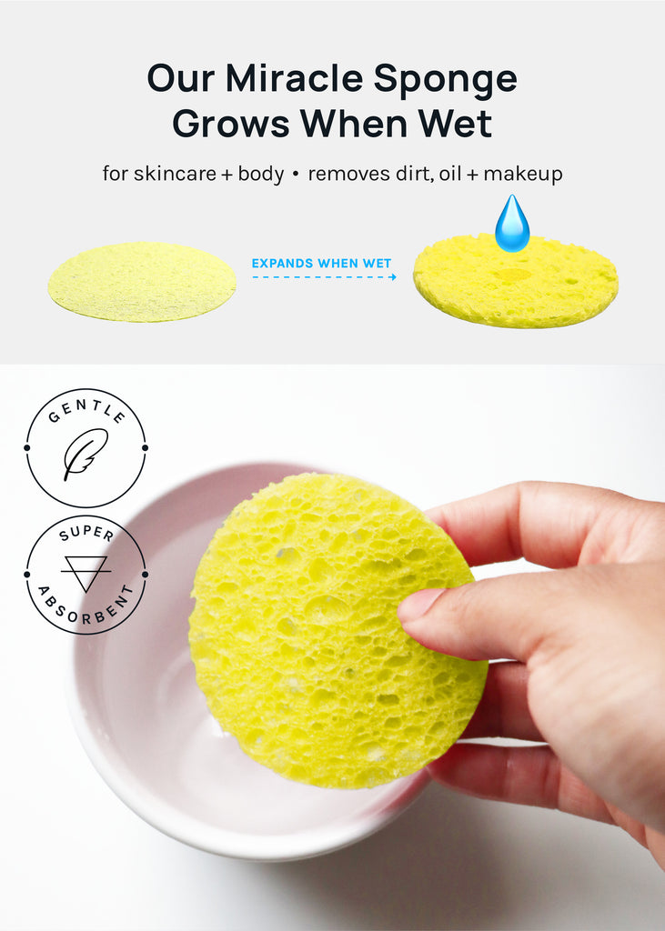 AOA Compressed Facial Sponges – 50 pack  Skincare - Shop Miss A